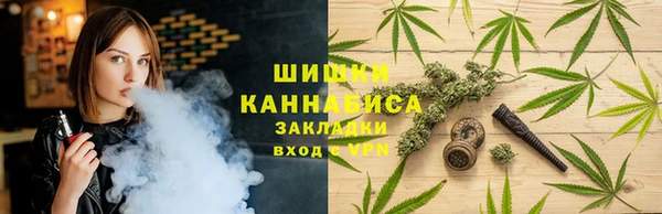 хмурый Осинники